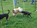 DSC00103klein.jpg
